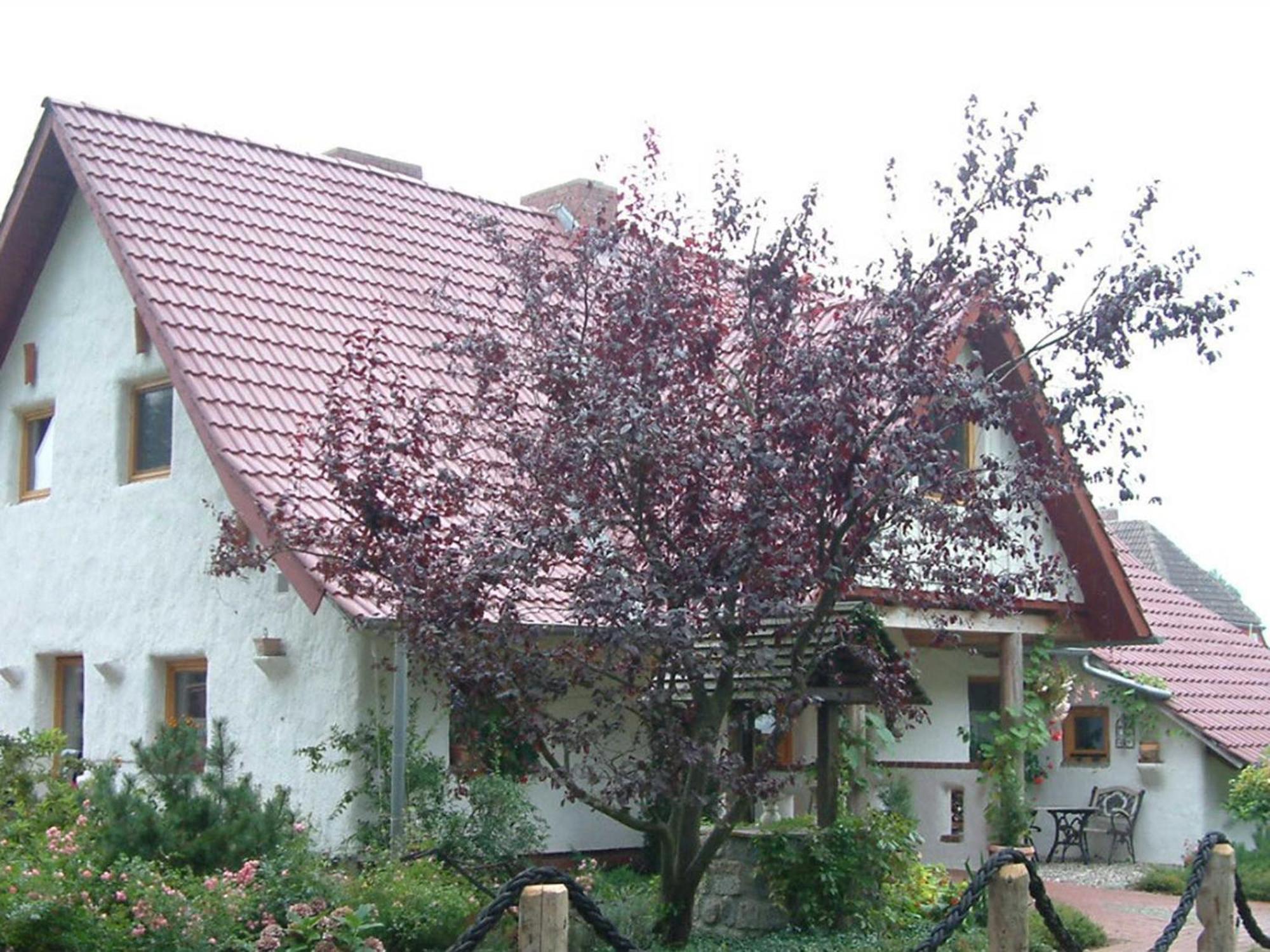 Haus Jasmin Apartamento Bodstedt Exterior foto